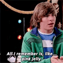 Pink Jelly High School Musical GIF - Pink Jelly High School Musical Zac Efron GIFs
