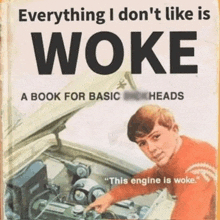 a book that says everything i don 't like is woke a book for basic heads