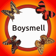 Boysmell Boysmell Sign GIF - Boysmell Boysmell Sign Butterflies GIFs
