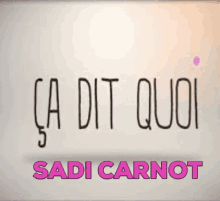 Sadi Carnot GIF - Sadi Carnot ça GIFs