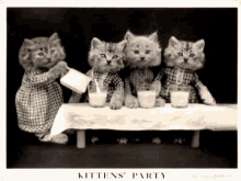 Kittens Vintage GIF - Kittens Vintage Magazine GIFs