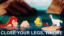 Ariel Mermaid GIF - Ariel Mermaid Close Your Legs GIFs