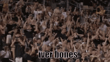 Iver Bones GIF - Iver Bones GIFs