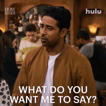 What Do You Want Me To Say Sid GIF - What Do You Want Me To Say Sid How I Met Your Father GIFs