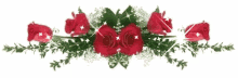 Red Roses GIF