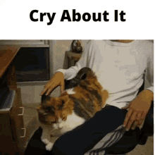 Cry About It Meme Didnt Cry About It GIF - Cry About It Meme Cry About It Didnt Cry About It GIFs