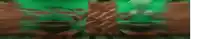 a blurred image of a tree trunk with a green background .