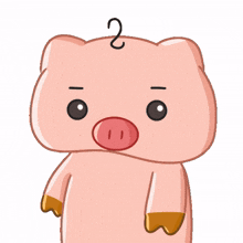 tamamochie sanpoh geepah pig cute pig