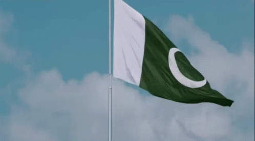 Pakistan Pakistan Flag GIF - Pakistan Pakistan Flag - Discover & Share GIFs