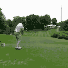 Hole In One Assist GIF - Golf Trick Shot GIFs