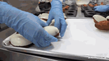 a person wearing blue gloves is putting donuts on a tray that says made in animotica