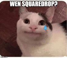 Squaredrop Square Dudes GIF