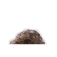 a close up of a man 's head with a white outline around it