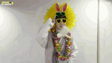 a person wearing a bunny costume and sunglasses with the letter m on the bottom left