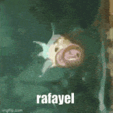 a fish is swimming in the water with the name rafayel written on the bottom