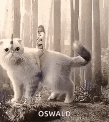 a black and white photo of a cat with a unicorn horn and a woman riding on its back .