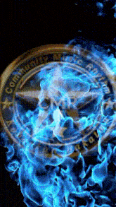 a coin that says ' united states marine corps ' is surrounded by blue flames