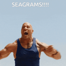 Seagrams Tomorrow GIF - Seagrams Tomorrow GIFs