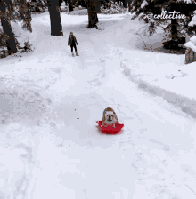 Slide Snow GIF - Slide Snow Winter GIFs