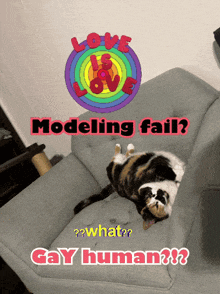a cat laying on a couch with the words love is love modeling fail and gay human