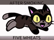 Cat Smoke GIF - Cat Smoke Wheat GIFs