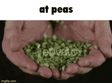 Peas At Ease GIF - Peas Pea At Ease GIFs