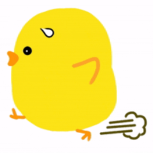 bird cute animal yellow hurry