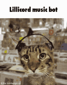 Lillicord Music Bot GIF - Lillicord Music Bot Funny Cat GIFs