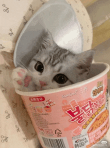 a cat is sticking its head out of a cup that says samyang on it