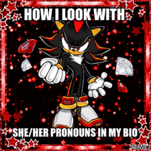 a picture of shadow the hedgehog with the words how i look with she / her pronouns in my bio