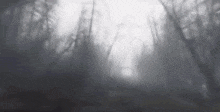 a black and white photo of a foggy forest