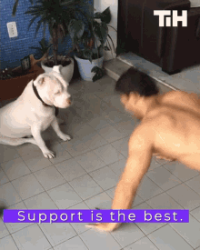 Support Is The Best Push Ups GIF - Support Is The Best Push Ups Exercise GIFs