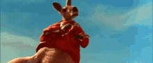 Ok Kangaroo Nice GIF - Ok Kangaroo Nice Kangaroo GIFs