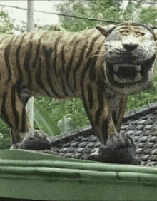 a statue of a tiger is standing on a green gutter