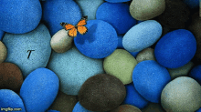 tjasko butterfly stones