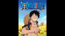 One Piece GIF
