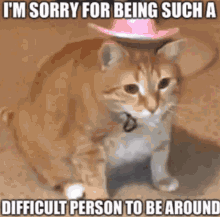 Memes About Being Sorry GIFs | Tenor