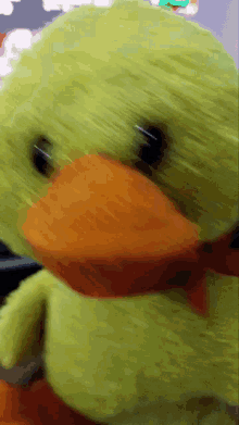 Cringe Meme Duck GIF
