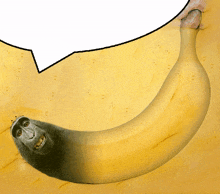 banana meme