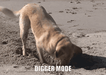 Digmode Digger GIF