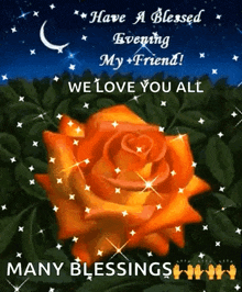 a picture of a rose with the words `` have a blessed evening my friend ! ''