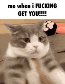 Cat Me When I Get You GIF - Cat Me When I Get You Sped Up GIFs