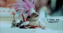 a bearded dragon wearing a pink hat is sitting on a white surface .