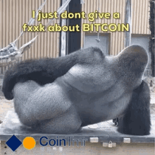 Cointmr Bitcoin GIF - Cointmr Bitcoin Gorilla GIFs
