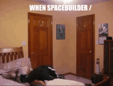 when spacebuilder bed wild weird