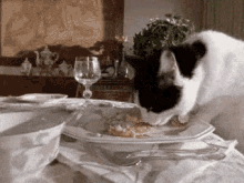Lick Hungry GIF - Lick Hungry Cat GIFs
