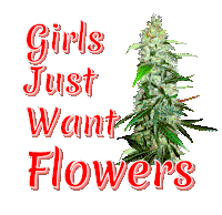 a sign that says girls just want flowers with a purple flower in the background