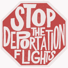 stop deportation flights protect haitian refugees haitian refugees immigration haiti