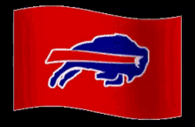 flag buffalo