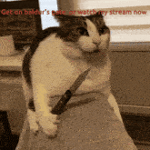 a cat holding a knife on someone 's lap with the words get on baldur 's gate or watch my stream now